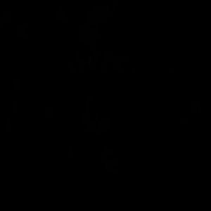 Meet your Posher, Shamara